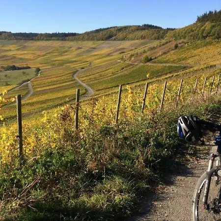 בית הארחה Schloessje