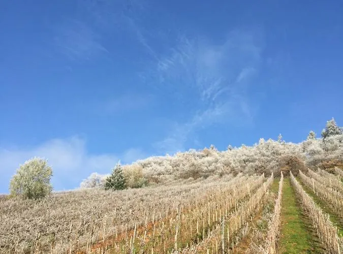 Schloessje Pensionat 4*