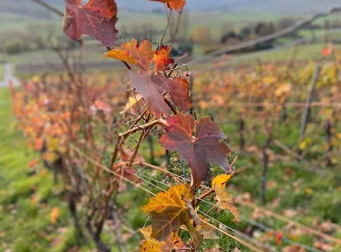 Affittacamere Schloessje Lieser