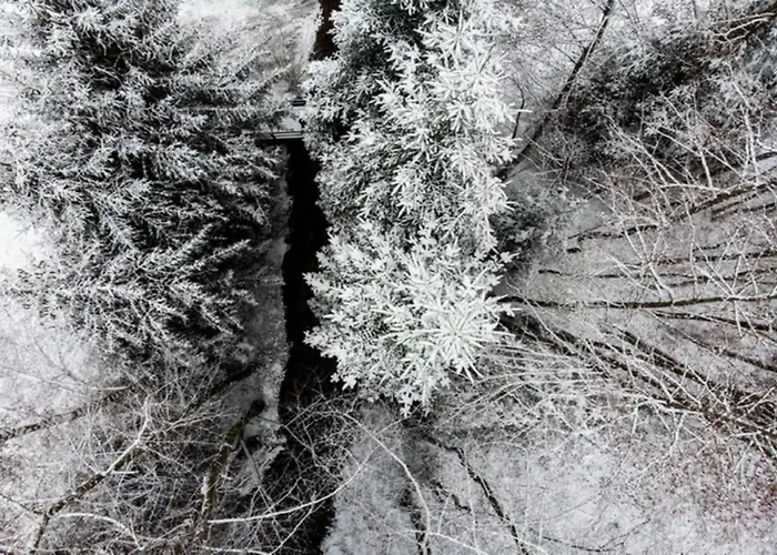 Pensionat Schloessje